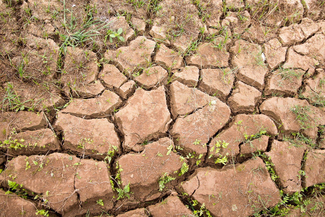 Le Changement Climatique et son Impact sur la Sécurité Alimentaire Mondiale