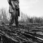 Découvrez la Fabrication Fascinante des Objets de Votre Quotidien