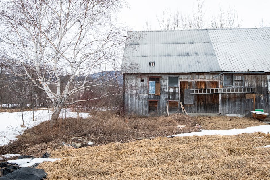 Café durable : l'avenir de votre tasse face au changement climatique