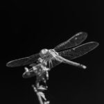 Anxiété : Top 10 des Symptômes Physiques les plus Courants (Sondage Réel)