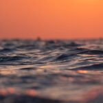 L’Impact de la Pornographie sur le Cerveau : Dopamine, Relations et Santé Mentale