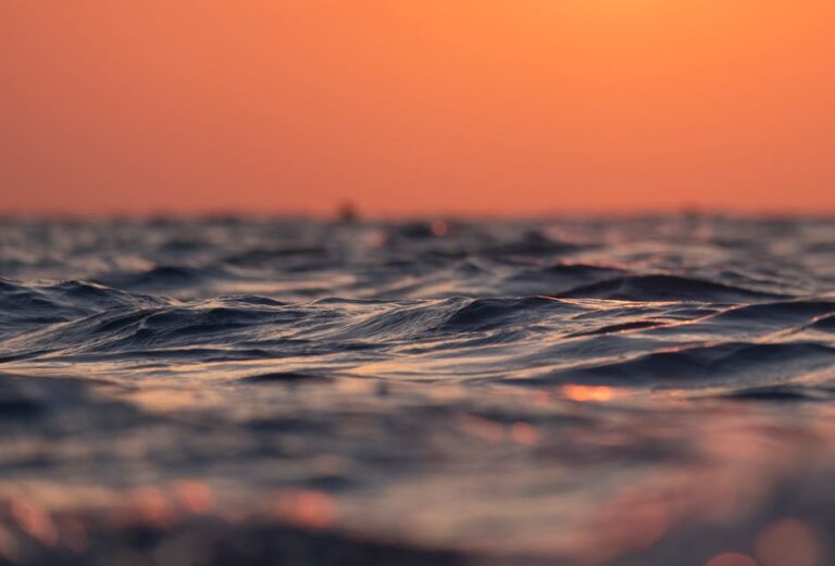 L’Impact de la Pornographie sur le Cerveau : Dopamine, Relations et Santé Mentale