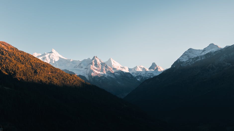 5 Astuces Simples pour Se Lever Tôt et Facilement Chaque Matin