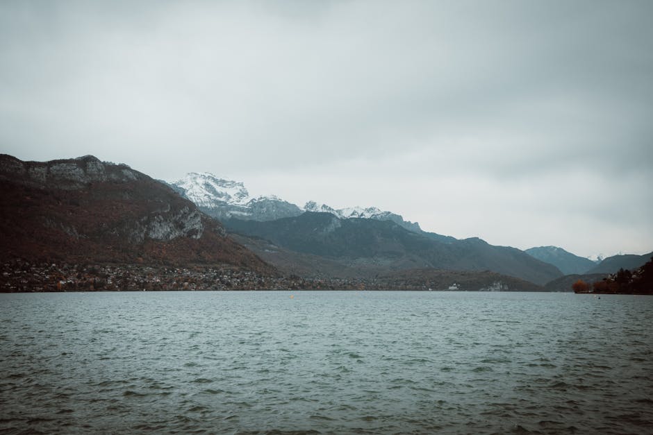 La Glande Pinéale et la Lumière Intérieure : Votre Cerveau Crée Votre Réalité Perçue