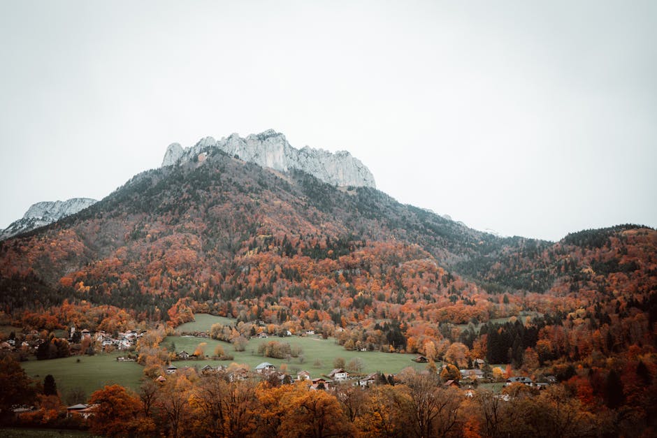 10 Astuces Essentielles pour un Jardinage Réussi en Hiver | Préparez Votre Jardin