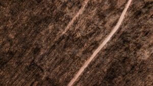 Lignes Telluriques (Lignes Ley) : Découverte et Mystères de l'Énergie Terrestre