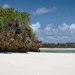 Travailler à Distance depuis l’Étranger : Guide Pratique et Stratégies pour une Carrière Nomade