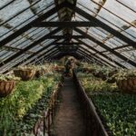 Jardinage Écologique : 12 Façons de Protéger la Planète avec Votre Jardin