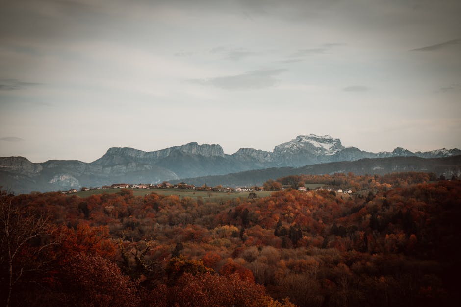 Décongélation Rapide et Surgélation Flash : Guide Complet