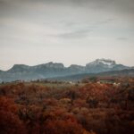 Légumineuses : Guide Complet sur les Haricots, Pois et Lentilles | Origine, Nutrition & Cuisson