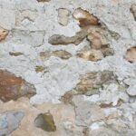 Kenneth, quelle est la fréquence ? Le mystère Dan Rather et le projet MK-Ultra