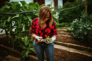9 Erreurs Courantes en Jardinage à Éviter pour un Potager Réussi