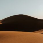 Les Mystères Insoupçonnés du Désert du Sahara : De l’Atlantide aux Fossiles de Baleines