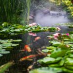 Créer un Étang Nourricier Autosuffisant : L’Ancienne Sagesse pour votre Jardin