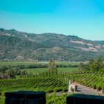 Guide Complet pour Visiter la Napa Valley : Vins, Gastronomie et Activités