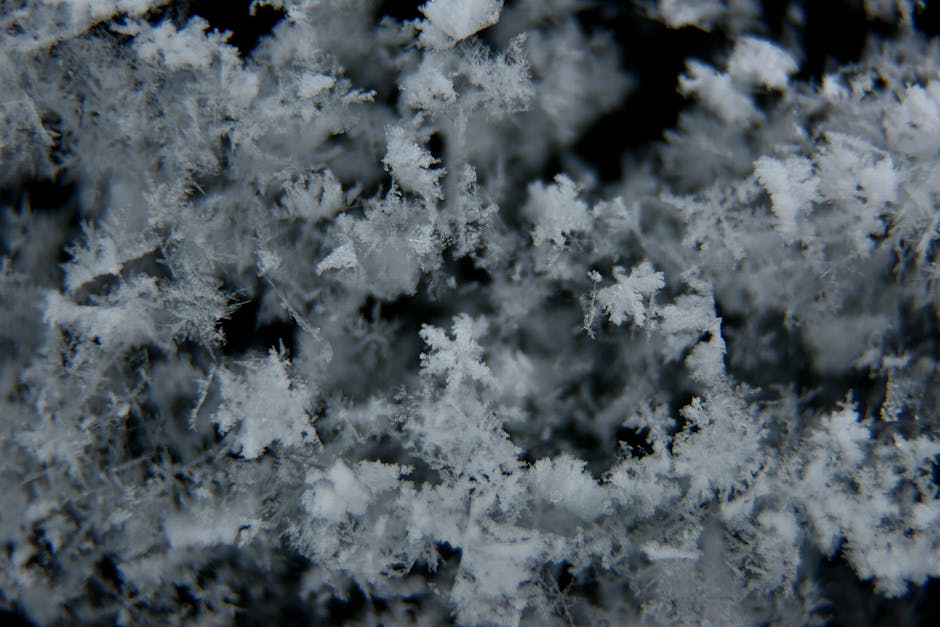 Pourquoi la neige est-elle blanche ? L'explication scientifique simple