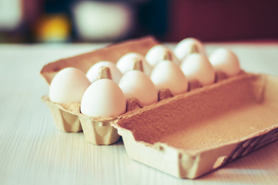 Œufs Blancs vs Bruns : Démystifier les Mythes Nutritionnels et la Vraie Qualité
