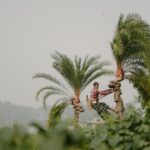 L’Huile de Palme : Comprendre son Impact et Choisir des Alternatives Durables