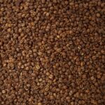 De la Graine à la Tasse : Les Secrets de la Fabrication du Café Soluble