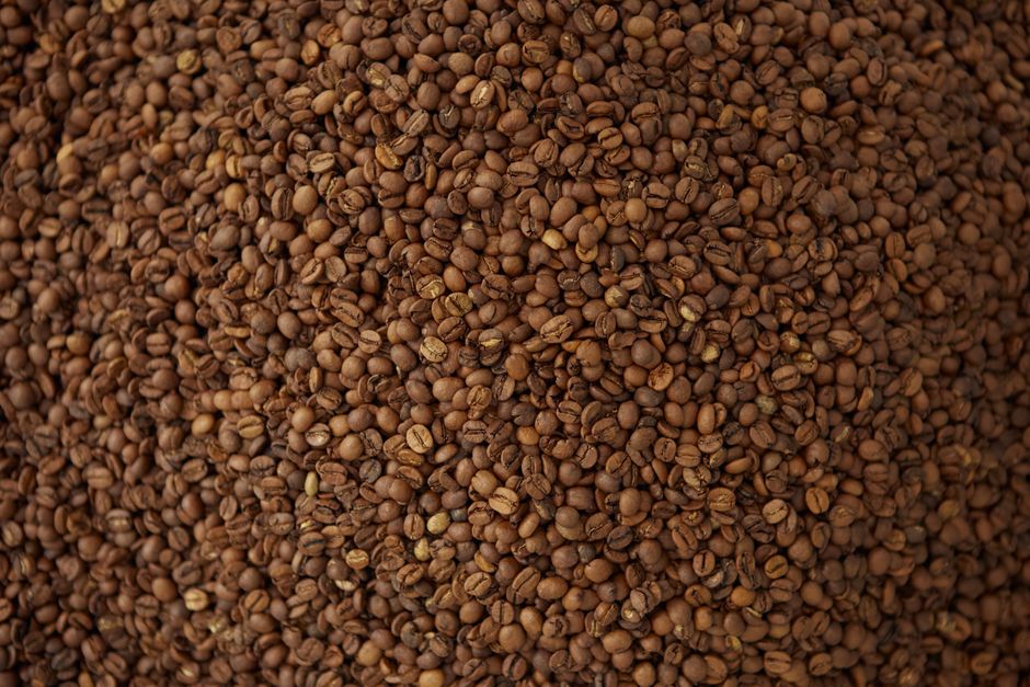 De la Graine à la Tasse : Les Secrets de la Fabrication du Café Soluble